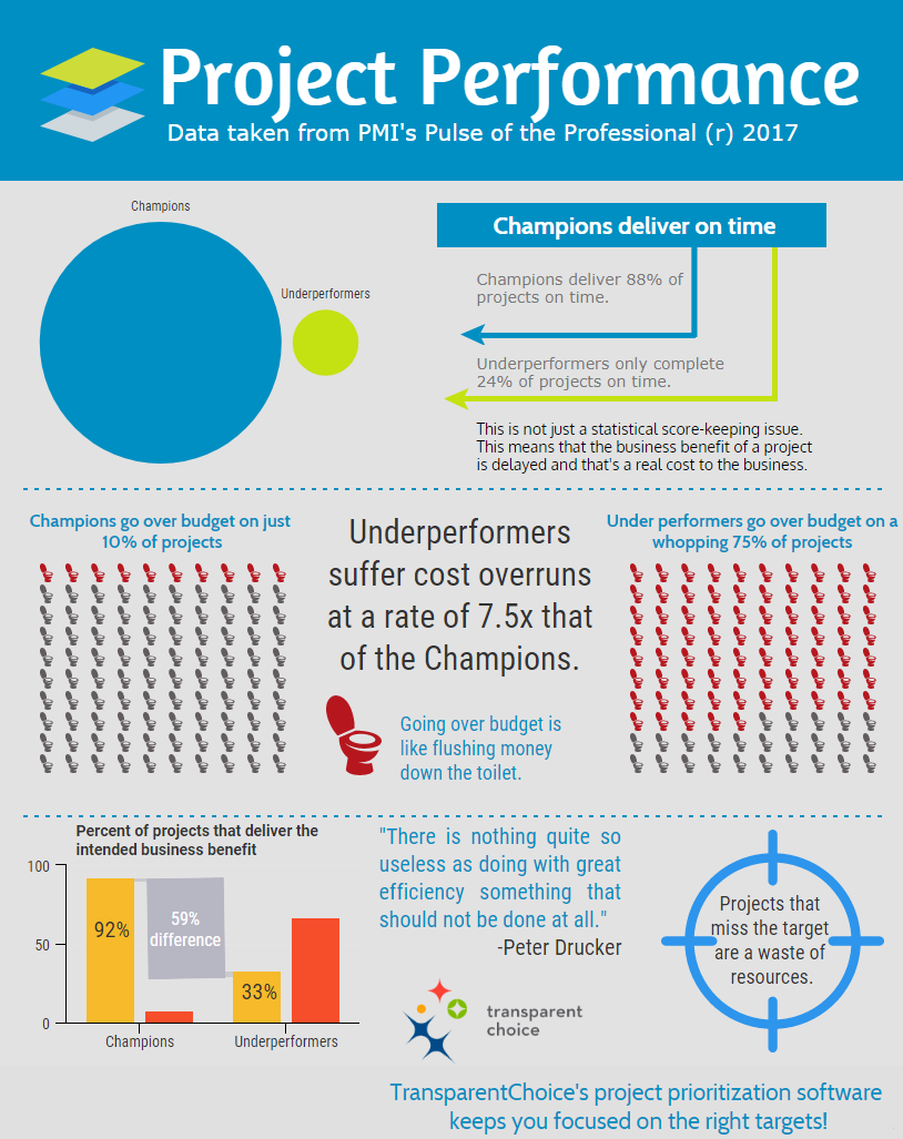 Infographic - Project Performances