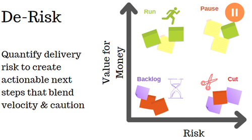 Balancing value for money and risk in a project portfolio